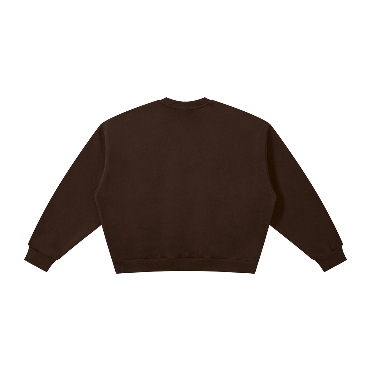Noah Christian crewneck, Genesis 9 print, view 4