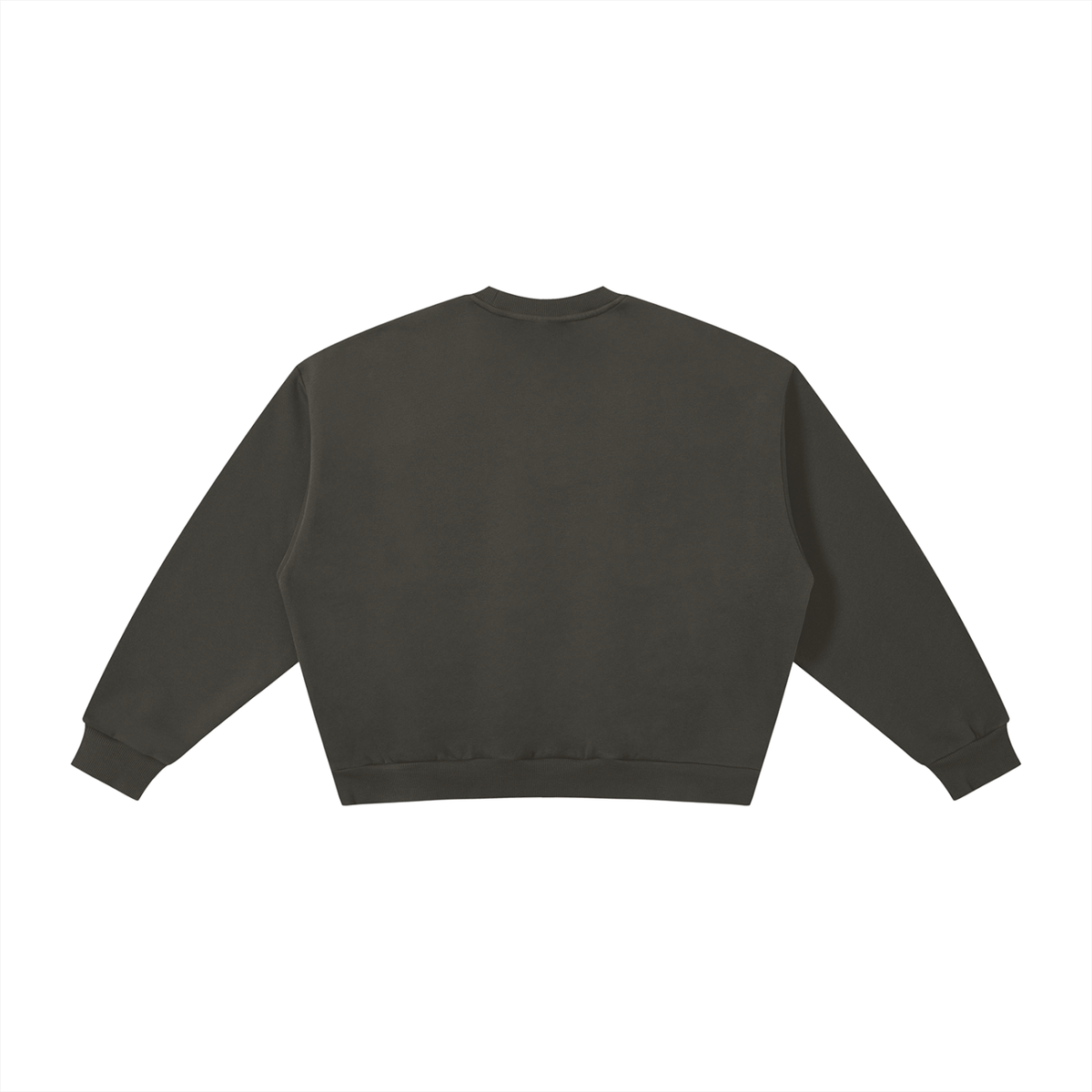 Noah Christian crewneck, Genesis 9 print, view 6